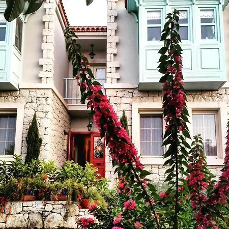 Cassiopeia מלון *