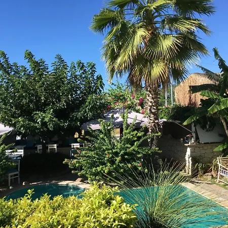 מלון Cassiopeia אלאקאטי