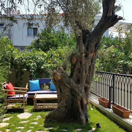 Cassiopeia * אלאקאטי