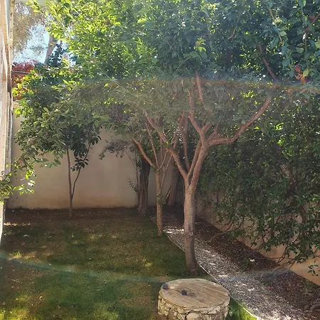 Cassiopeia אלאקאטי