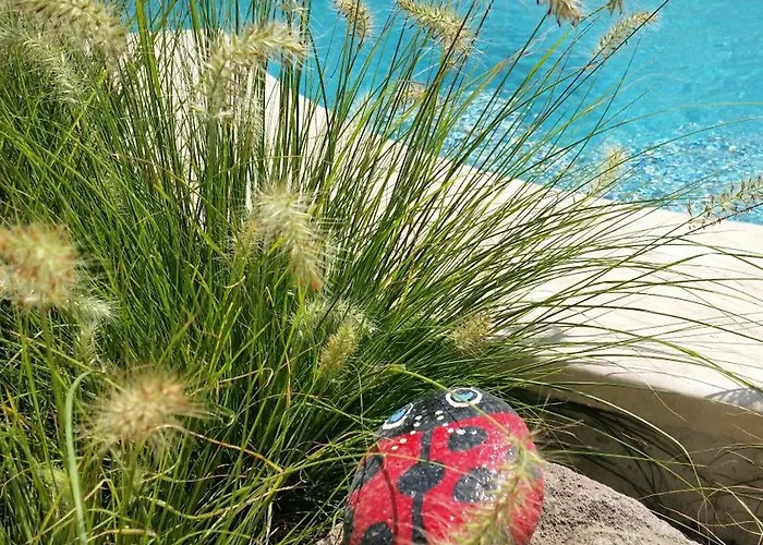 Cassiopeia Bed & Breakfast