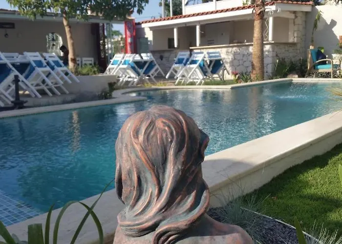 Cassiopeia 住宿加早餐酒店 阿拉恰特