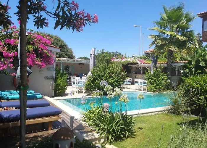 住宿加早餐酒店 Cassiopeia