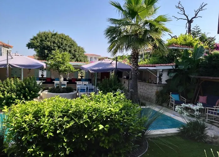 住宿加早餐酒店 Cassiopeia 阿拉恰特