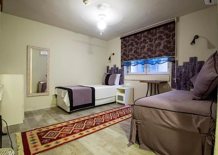 住宿加早餐酒店 Cassiopeia 阿拉恰特