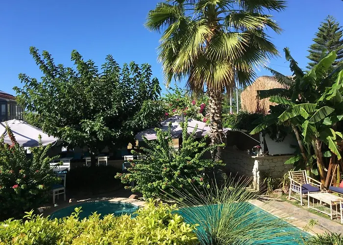 住宿加早餐酒店 Cassiopeia 阿拉恰特