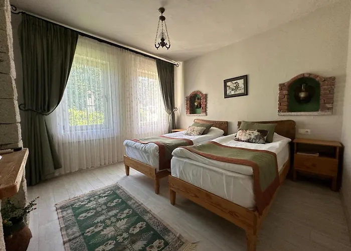 住宿加早餐酒店 Cassiopeia 阿拉恰特