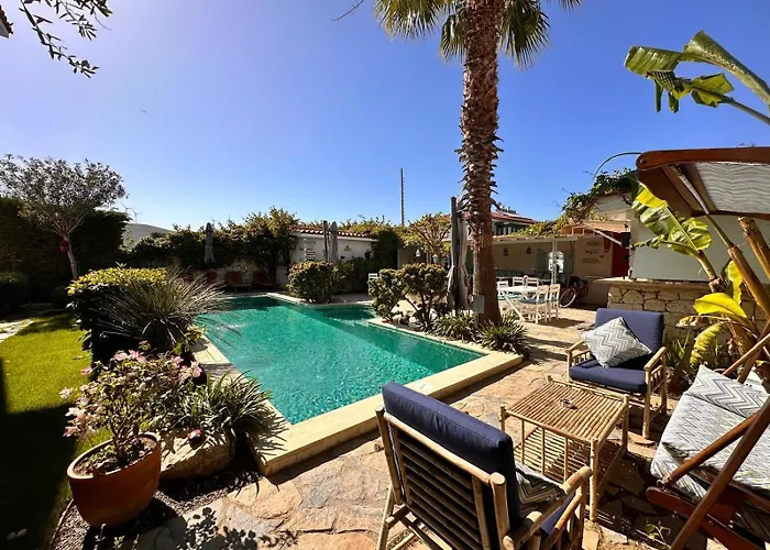 住宿加早餐酒店 Cassiopeia