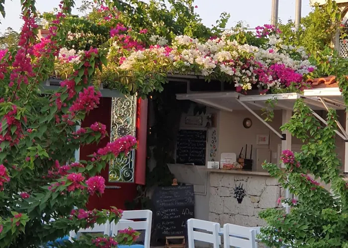 Cassiopeia 阿拉恰特