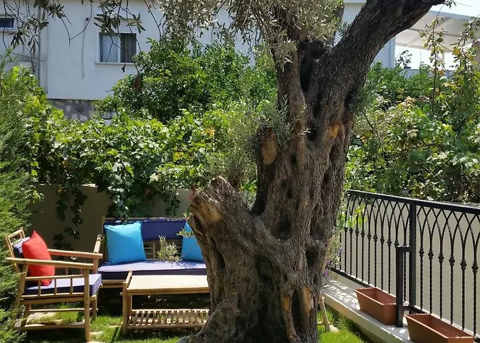 Cassiopeia * 阿拉恰特