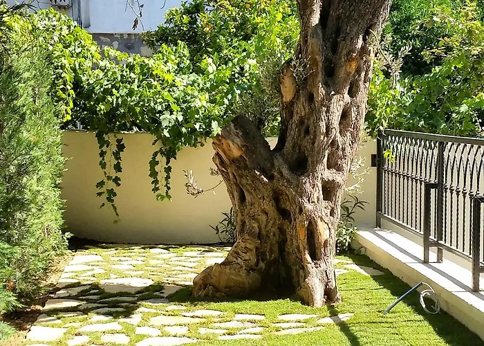 住宿加早餐酒店 Cassiopeia