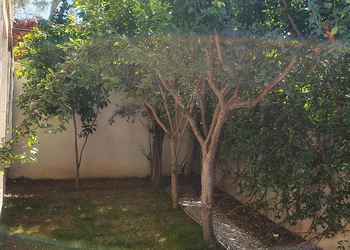 Cassiopeia 阿拉恰特